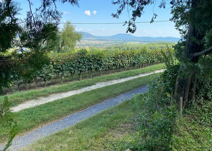 Bardio Birtokhaz - Koerpanorama